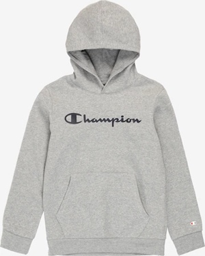 HOODED SWEATSHIRT GREY