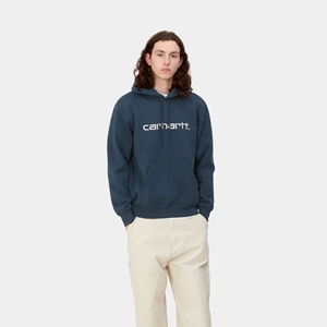 Hooded Carhartt Sweat Squid/Salt