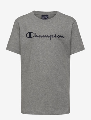 CREWNECK T-SHIRT GREY