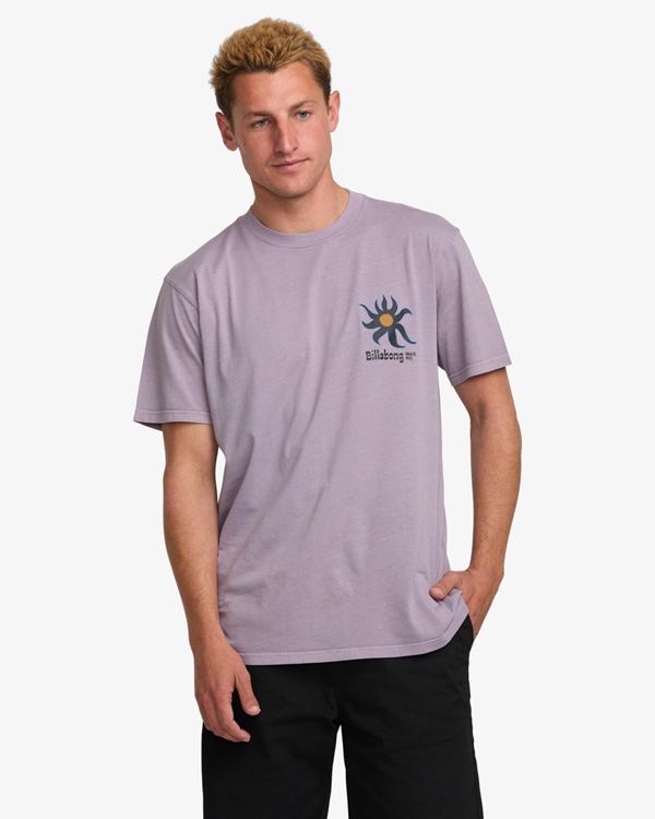 Solar SS Violette
