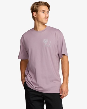 Scenes Regular Purple Ash